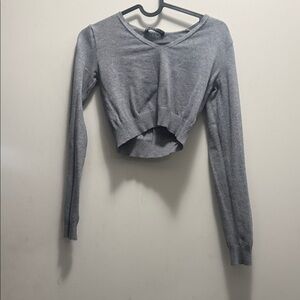 Brandy Melville Gray Crop Top